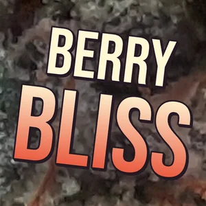 Berry Bliss Cannabis Strain