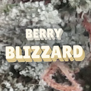 Berry Blizzard Cannabis Strain