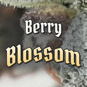 Berry Blossom Cannabis Strain