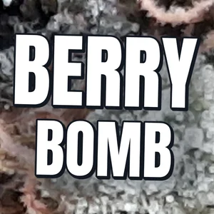 Berry Bomb Cannabis Strain