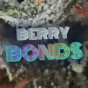 Berry Bonds Cannabis Strain
