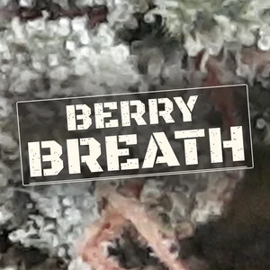 Berry Breath Cannabis Strain