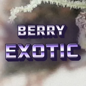 Berry Exotic Cannabis Strain