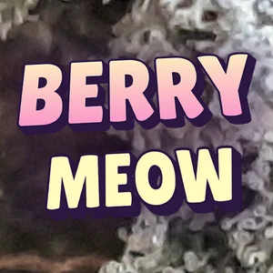 Berry Meow Cannabis Strain