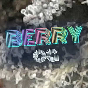 Berry OG Cannabis Strain