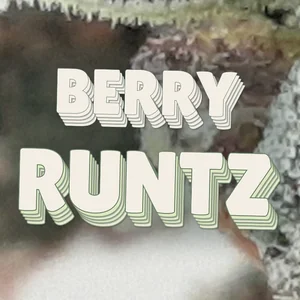Berry Runtz Cannabis Strain