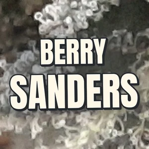 Berry Sanders Cannabis Strain