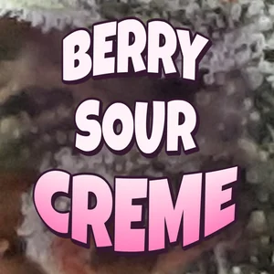 Berry Sour Creme Cannabis Strain