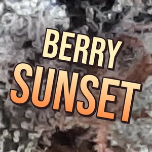 Berry Sunset Cannabis Strain