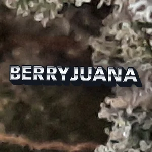Berryjuana Cannabis Strain