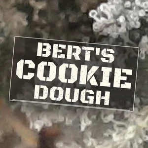 Bert's Cookie Dough Cannabis Strain