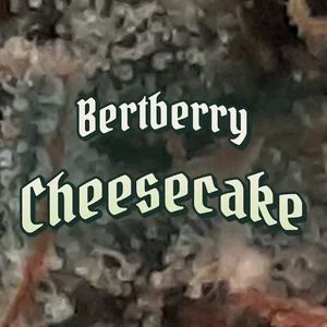 Bertberry Cheesecake Cannabis Strain