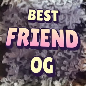 Best Friend OG Cannabis Strain