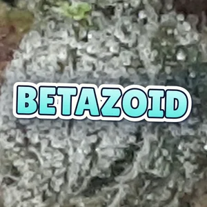 Betazoid Cannabis Strain