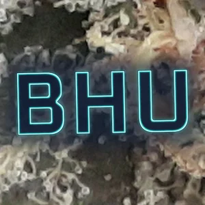 BHU Cannabis Strain