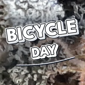 Bicycle Day Cannabis Strain