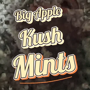 Big Apple Kush Mints Cannabis Strain