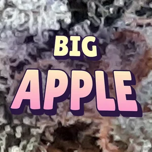 Big Apple Cannabis Strain