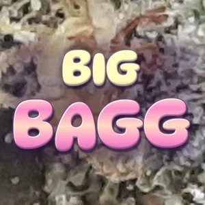 Big Bagg Cannabis Strain
