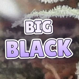 Big Black Cannabis Strain