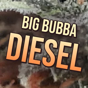 Big Bubba Diesel Cannabis Strain