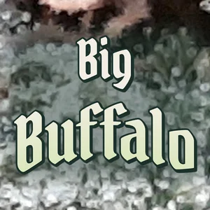 Big Buffalo Cannabis Strain