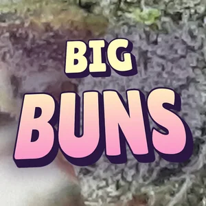 Big Buns Cannabis Strain