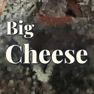 Big Cheese Cannabis Strain
