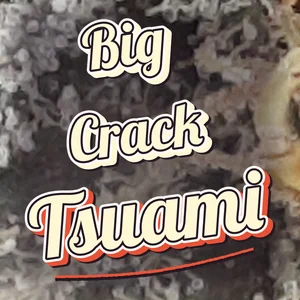 Big Crack Tsuami Cannabis Strain