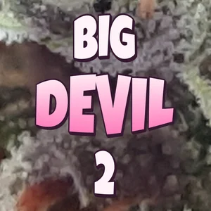 Big Devil 2 Cannabis Strain