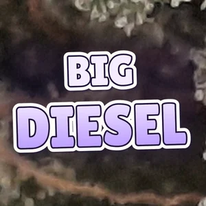 Big Diesel Cannabis Strain