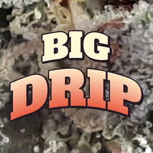 Big Drip Cannabis Strain
