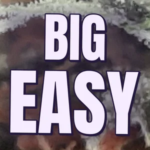 Big Easy Cannabis Strain