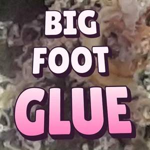 Big Foot Glue Cannabis Strain