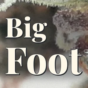 Big Foot Cannabis Strain