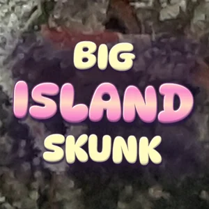 Big Island Skunk Cannabis Strain