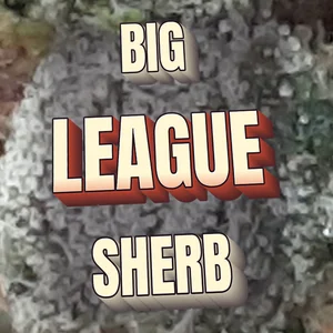 Big League Sherb Cannabis Strain