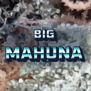 Big Mahuna Cannabis Strain