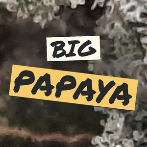 Big Papaya Cannabis Strain