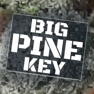 Big Pine Key Cannabis Strain