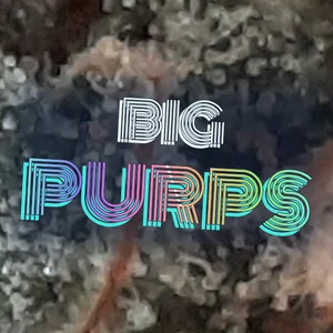 Big Purps Cannabis Strain