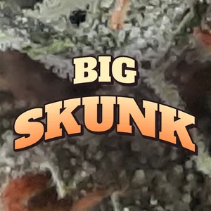 Big Skunk Cannabis Strain