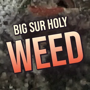 Big Sur Holy Weed Cannabis Strain