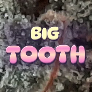 Big Tooth Cannabis Strain