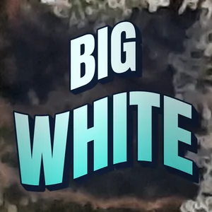 Big White Cannabis Strain