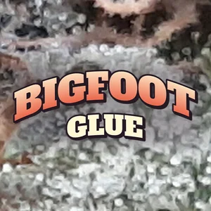 Bigfoot Glue Cannabis Strain