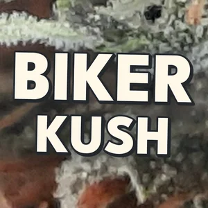 Biker Kush Cannabis Strain