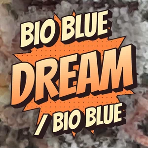 Bio Blue Dream / Bio Blue Cannabis Strain