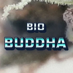 Bio Buddha Cannabis Strain