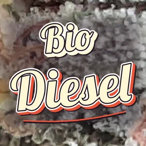 Bio Diesel Cannabis Strain